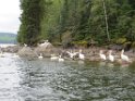 Allen Kurko - IMG_0632